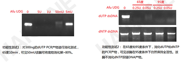 Afu UDG