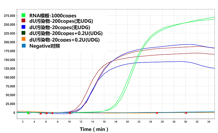 Bst dU5.0 DNA聚合酶