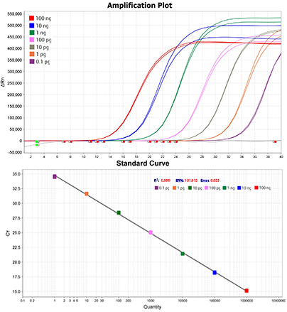 SYBR Green qPCR Mix