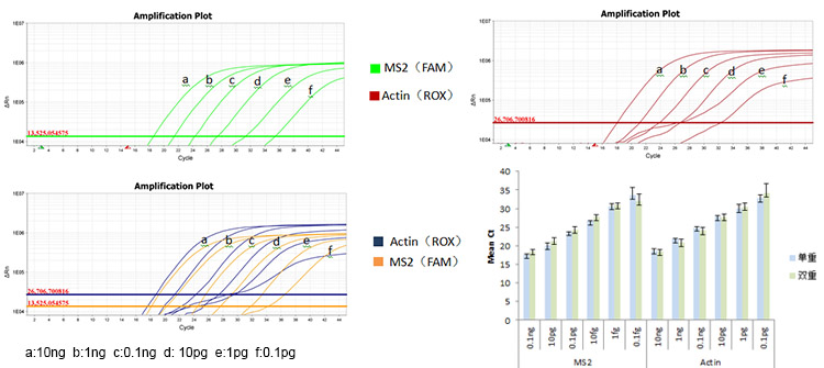 mttx qPCR Mix