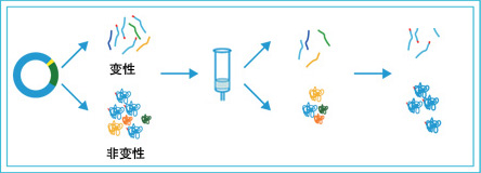 his标签纯化树脂