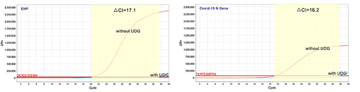 南极热敏UDG