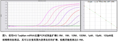 mirna定量PCR试剂盒